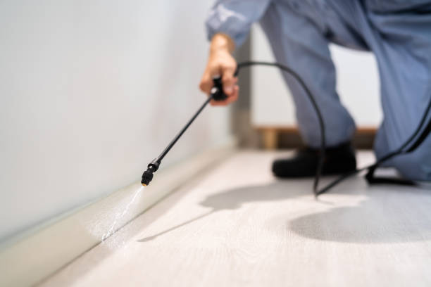 Licensed Fumigation Services service in Jones Valley, CA - Nex Pest Control