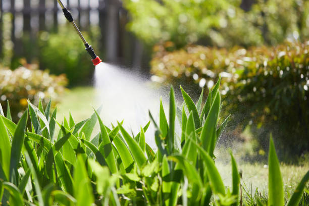 24/7 Emergency Fumigation Services experts in Jones Valley, CA