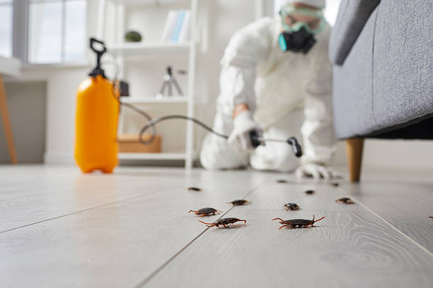 Trusted Fumigation Services service in Jones Valley, CA - Nex Pest Control